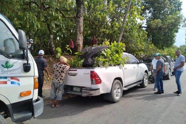 Ministerio de Agricultura entregó plantas a productores de Arroyo al Medio