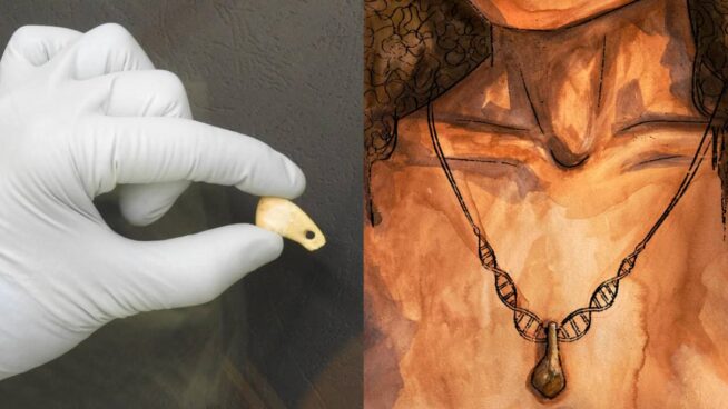 Identifican el ADN de una mujer que vivió hace unos 20,000 años
