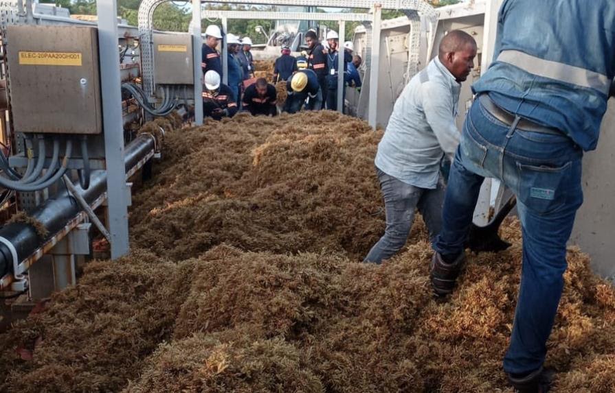 Fallece buzo mientras retiraba sargazo en Punta Catalina