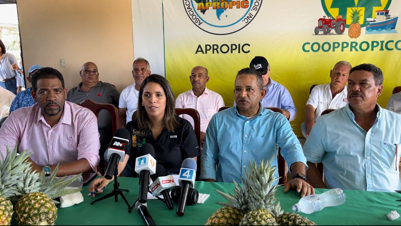 Piñeros locales aseguran irían a la quiebra si introducen contenedor de piña procedente de Costa Rica