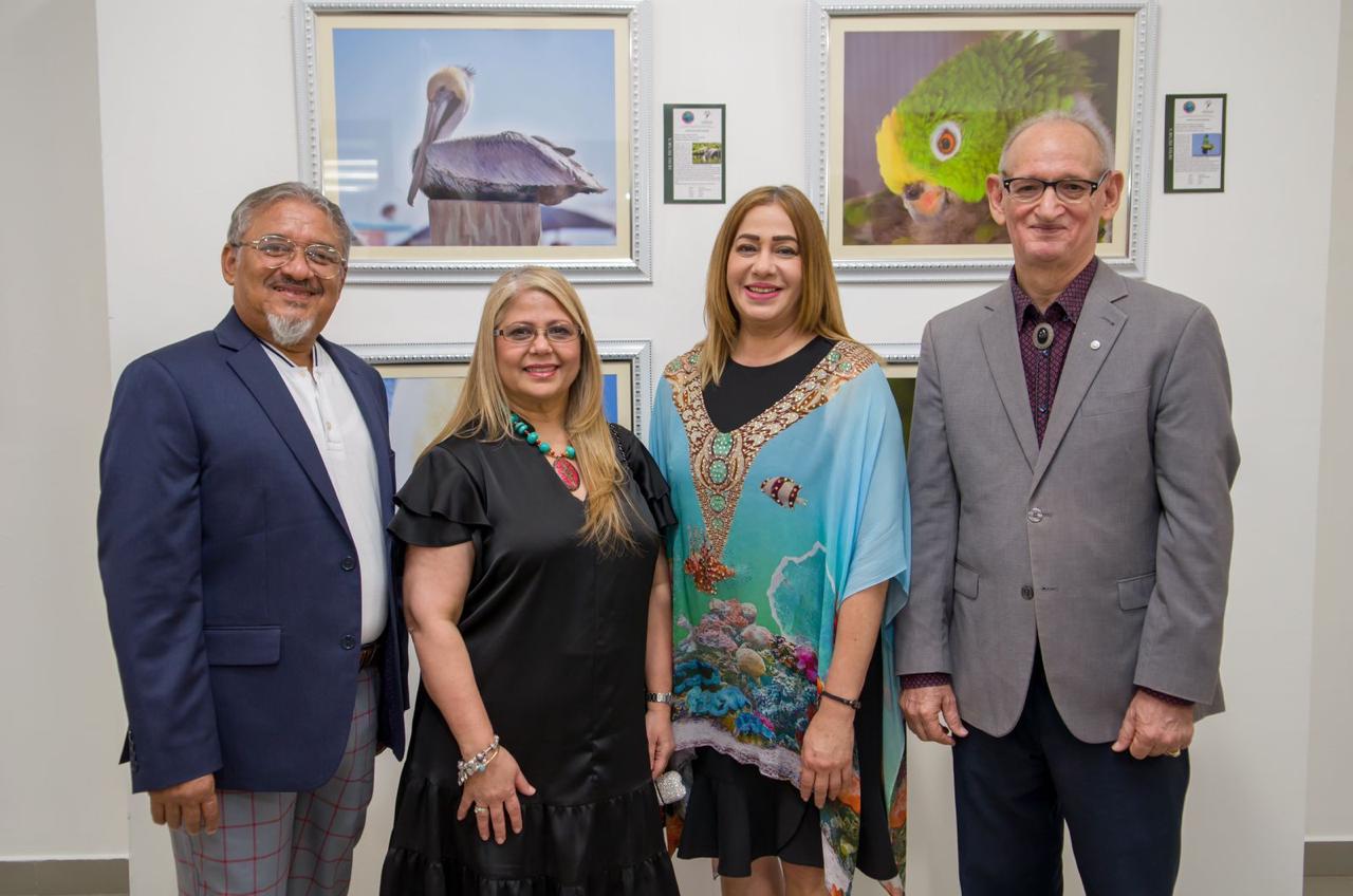 Centro Cultural Perelló inaugura ‘Alas & Aletas’, un llamado a cuidar el medio ambiente