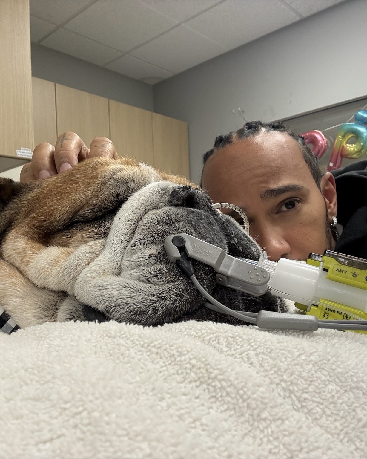 Lewis Hamilton despide a su querido bulldog Roscoe