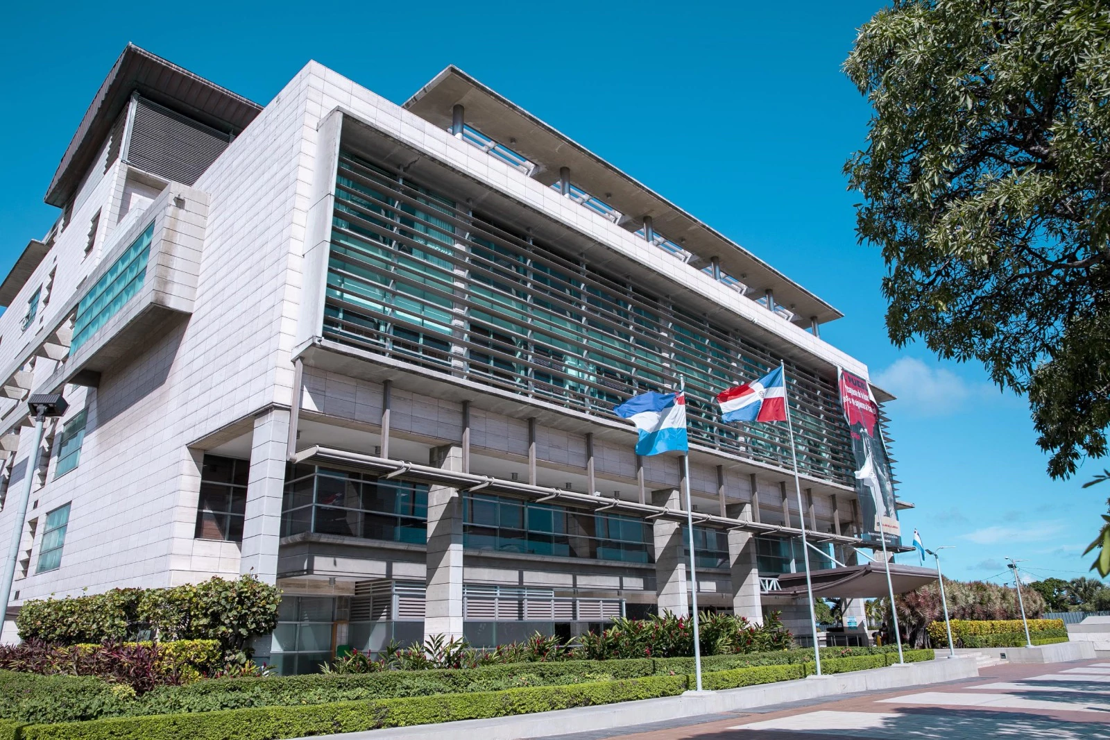 Arrestan prófugos de red de piratería tras operación “Domo”